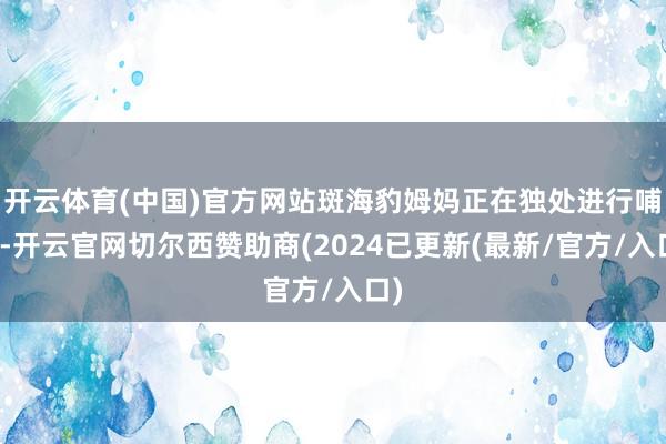 开云体育(中国)官方网站斑海豹姆妈正在独处进行哺乳-开云官网切尔西赞助商(2024已更新(最新/官方/入口)